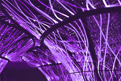 Close-up of glowing fiber optic cables for high-speed networking and digital connectivity.